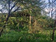 26.5 ha Farm in Parys