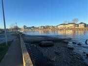 26 Anchor Mews, Arklow, Wicklow Salley Property Services...