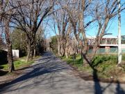 26 entre 453 y 454 City Bell LOTE en VENTA Barrio Tacuarí