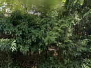 26 m2 apartment for rent in Leipzig