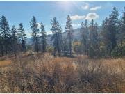 2702 Glenmore Road, Kelowna, BC V1B2V6 Land For Sale |...