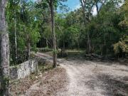 270,000 m2 Zona Aeroportuario Tulum REMATE