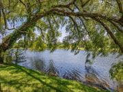 270 Mallet Ct 270 Mallet Ct