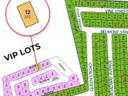 272 sqm Alabang West lot for sale near clubhouse Las...