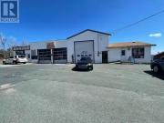 273 Main Road, Tors Cove, NL, A0A 0G6 commercial for sale L.