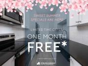 274 278 Cedar Avenue 1 Bedroom Apartment for Rent at 278...