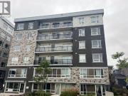 275 LARCH Street