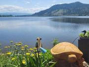 277 415 Commonwealth Rd. Road, Kelowna, BC, V4V 1P4...