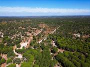 27,5 hectares de sobro e pinho na região de Santiago do...