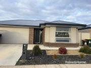 Family 4 Bedroom Home with 2 Living Areas!