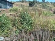 280 m² Land available in Mabopane