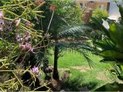 282,56 Área Útil Casa de Condomínio Alugar, 4...