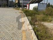 283 Square Yards Commercial Plot In D 17 Is Best Option