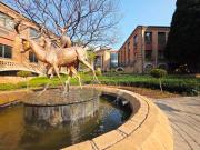 283m2 office to let in glen manor of.