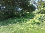 288 m² Land available in Lovu