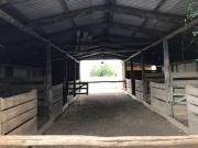 28 Hectareas en Manzanares chacra de polo