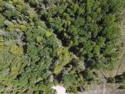 2989 540 Highway, Honora Bay, ON, P0P 1K0 vacant land...