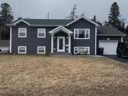 29 Harmsworth Drive, Grand Falls Windsor, NL, A2A 2Y7 house.