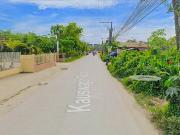 29 Meters Frontage Commercial Lot For Sale Talamban Cebu...