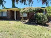 29 Mowbray Crescent, Fairview Park, SA 5126