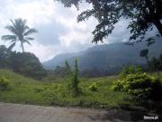 2, 000 sqm Lot for sale in Busay Cebu City Philippines