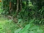 2,000 sqm Residential Farm For Sale in Pagsanjan Laguna...
