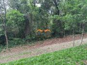 2.000m² + fundo para APP