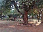 2.1 ha Farm in Monavoni AH