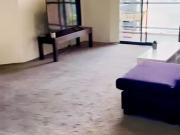 2 26 Wattle crescents, Sydney