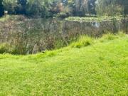 2.2 ha Land available in Ravenswood