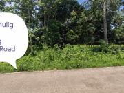 2.3 has Mulig Toril for Sale