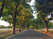 2,400 sqm Marina Baytown Lot for Sale, Parañaque