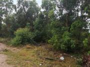 2.4 ha Land available in Greenbushes