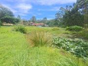 2 533 m² Land available in Crestholme