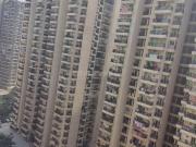 2.5 BHK Apartment in Noida Extension for rent Greater...