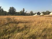 2.5 ha Land available in Buccleuch