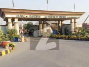 2.5 Marla Commercial Plot Is Available For Sale In Canal...