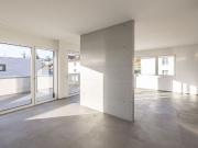 2.5 room apartment in loft style