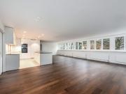 2.5 Zimmer, 137 m², EG