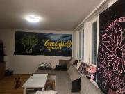 2.5 Zimmer, 50 m², EG