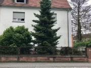 2,5 Zimmer 65 m² 620 € Kaltmiete Wohnungen in Hanau 2,5 Zimmer 65 m² 620 € Kaltmiete Wohnungen in Hanau