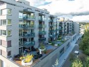 2.5 Zimmer, 70 m², 3. Stock