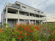 2,5 Zimmer Gartenwohnung nahe historischen Stadtzentrum