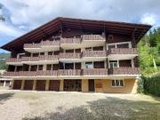 2.5 Zimmer Wohnung mit separatem 1 Zimmer Studio an top Lage