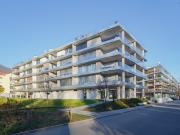 2,5 Zimmer Wohnung zu vermieten tolle Lage