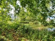 2.5 Zimmerwohnung im Grünen