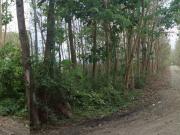 2. 6hec FARM residential near GREEN CITY, Capas, Tarlac