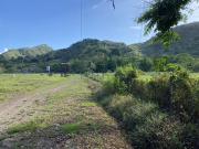 2.7 hectares Farm Lot near University of the Philippines...