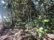 2.7 hectares Ãrea rural casa de veraneio Jaraguari
