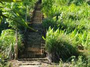 2.8 Hectare Residential & Farm Property – Amadeo...